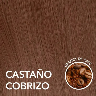#Color_Castaño cobrizo